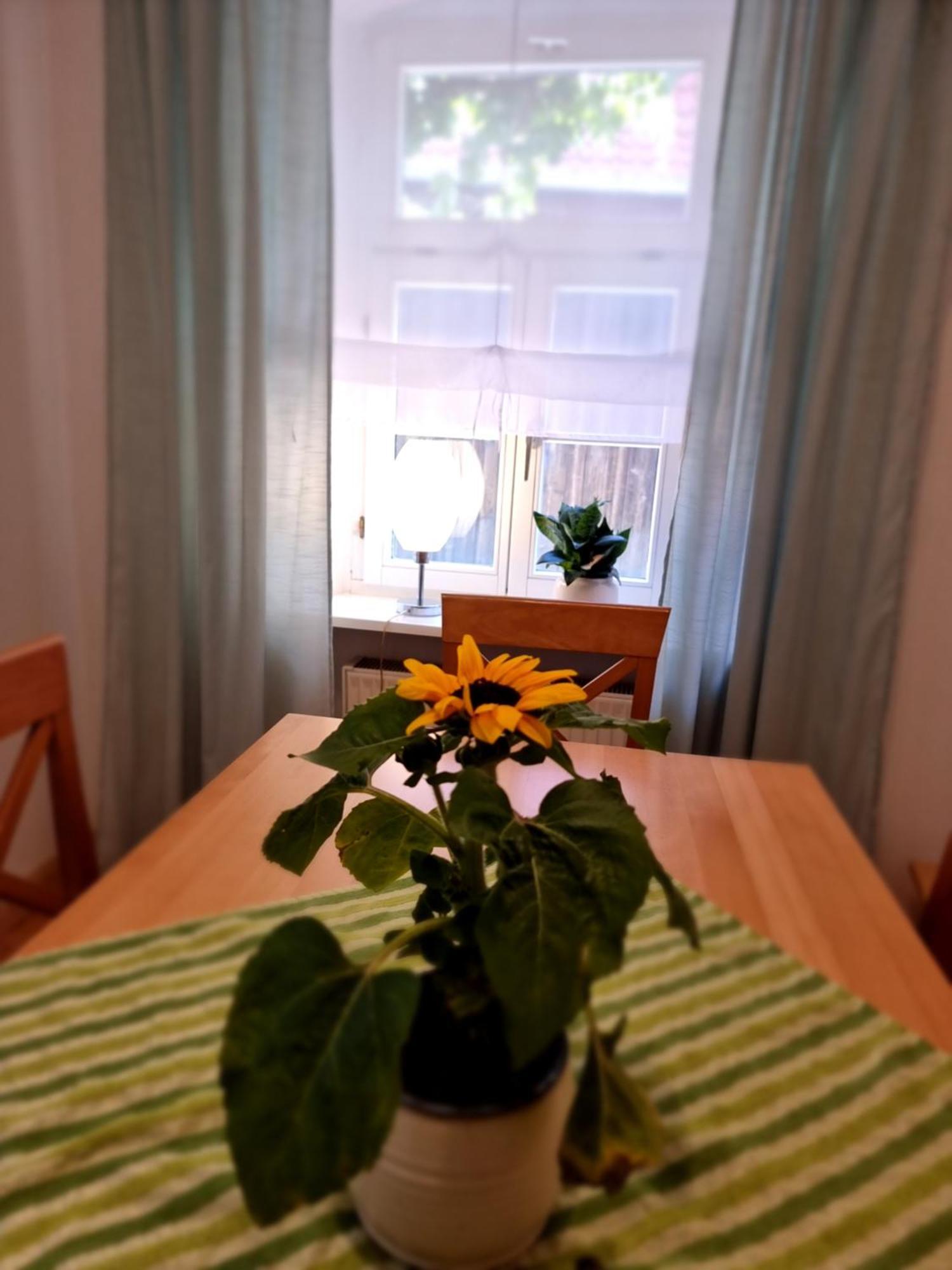 Ferienwohnung Boehm Segnitz Oda fotoğraf